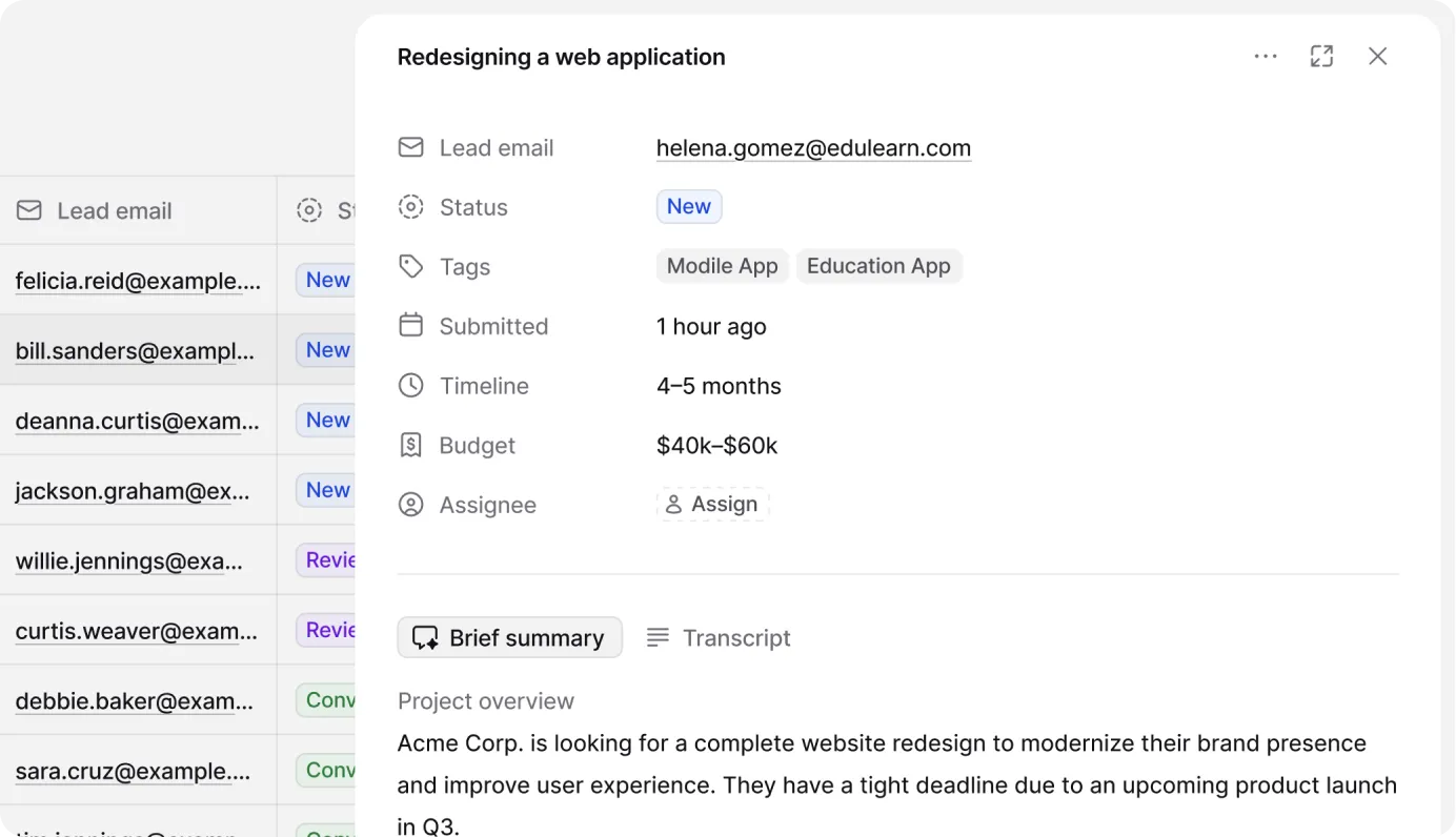 Project details showing lead email, status, tags, timeline, and budget fields